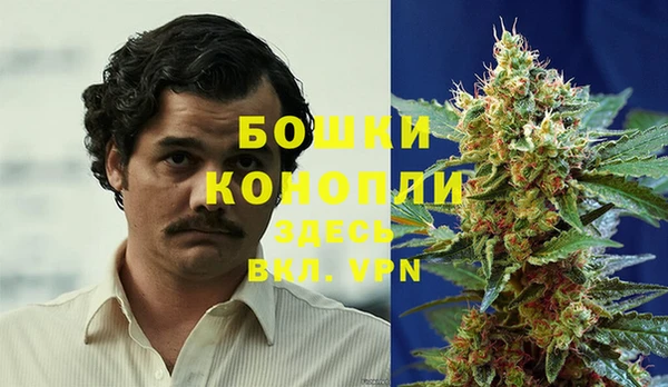 спайс Алексин