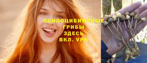 героин Алзамай
