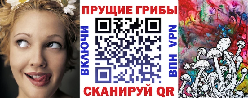 MEGA сайт  Данков  Галлюциногенные грибы GOLDEN TEACHER  магазин   